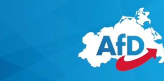 Mecklenburg-Vorpommern’de AfD birinci: CDU ilk kez Landtag dışında